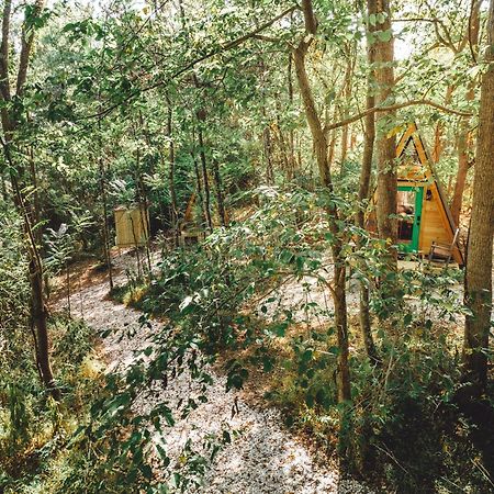 RockbridgeBlue Brambler Glamping A-Frameアパートメント エクステリア 写真