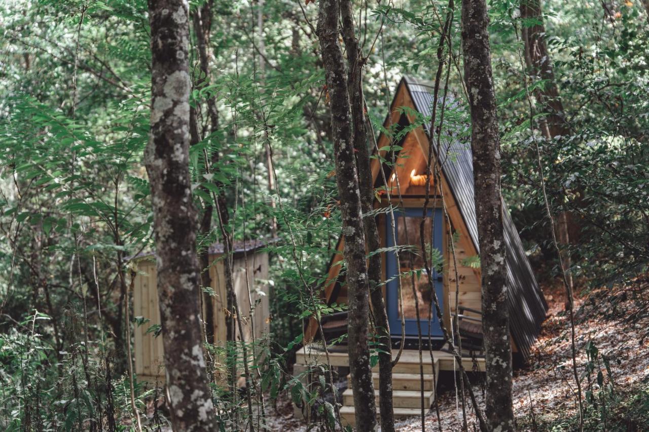 RockbridgeBlue Brambler Glamping A-Frameアパートメント エクステリア 写真