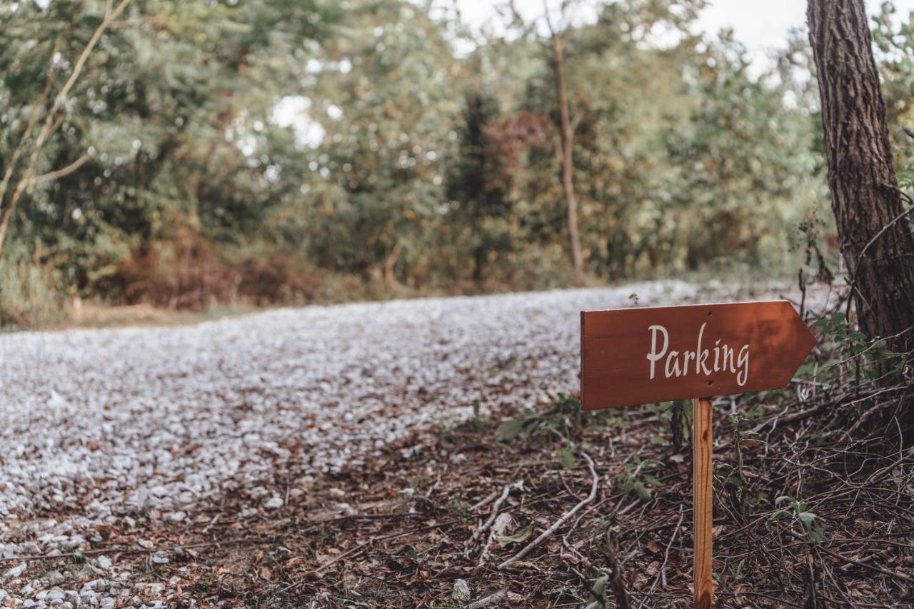 RockbridgeBlue Brambler Glamping A-Frameアパートメント エクステリア 写真