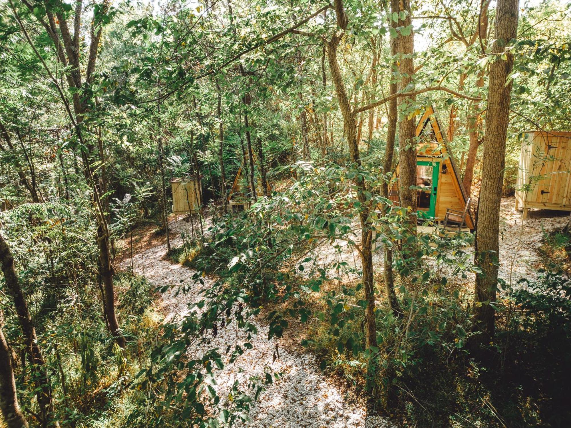 RockbridgeBlue Brambler Glamping A-Frameアパートメント エクステリア 写真